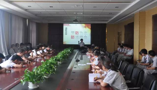 电动汽车,电动轿车,纯电动汽车,电动汽车价格