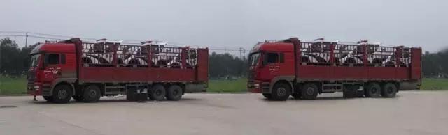 跃迪电动巡逻车准备发车